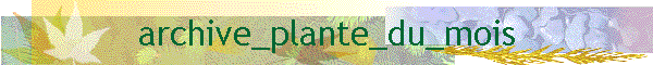 archive_plante_du_mois