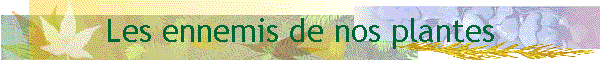 Les ennemis de nos plantes