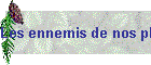 Les ennemis de nos plantes