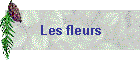 Les fleurs