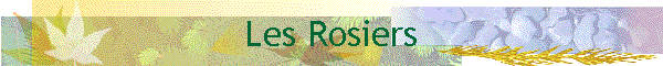 Les Rosiers