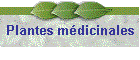 Plantes mdicinales