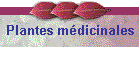 Plantes mdicinales