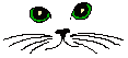 Coucou
